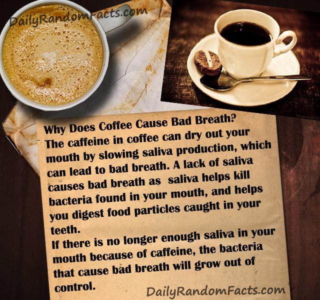 Does Coffee Cause Bad Breath